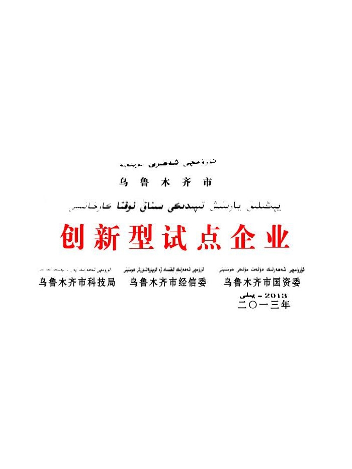 创新型试点企业