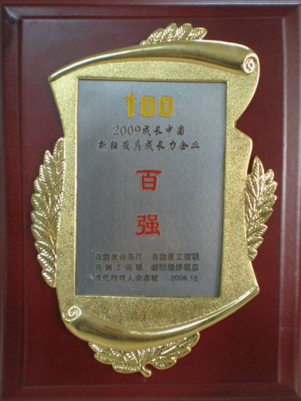 2009成长中国新疆最具成长力